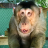 Skeeter - Image 3