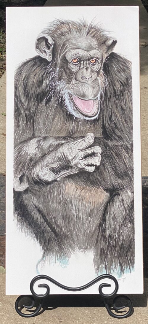 Violet by Bill Hamilton-Print